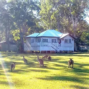 Lodge Weyba Noosa & Kangaroos